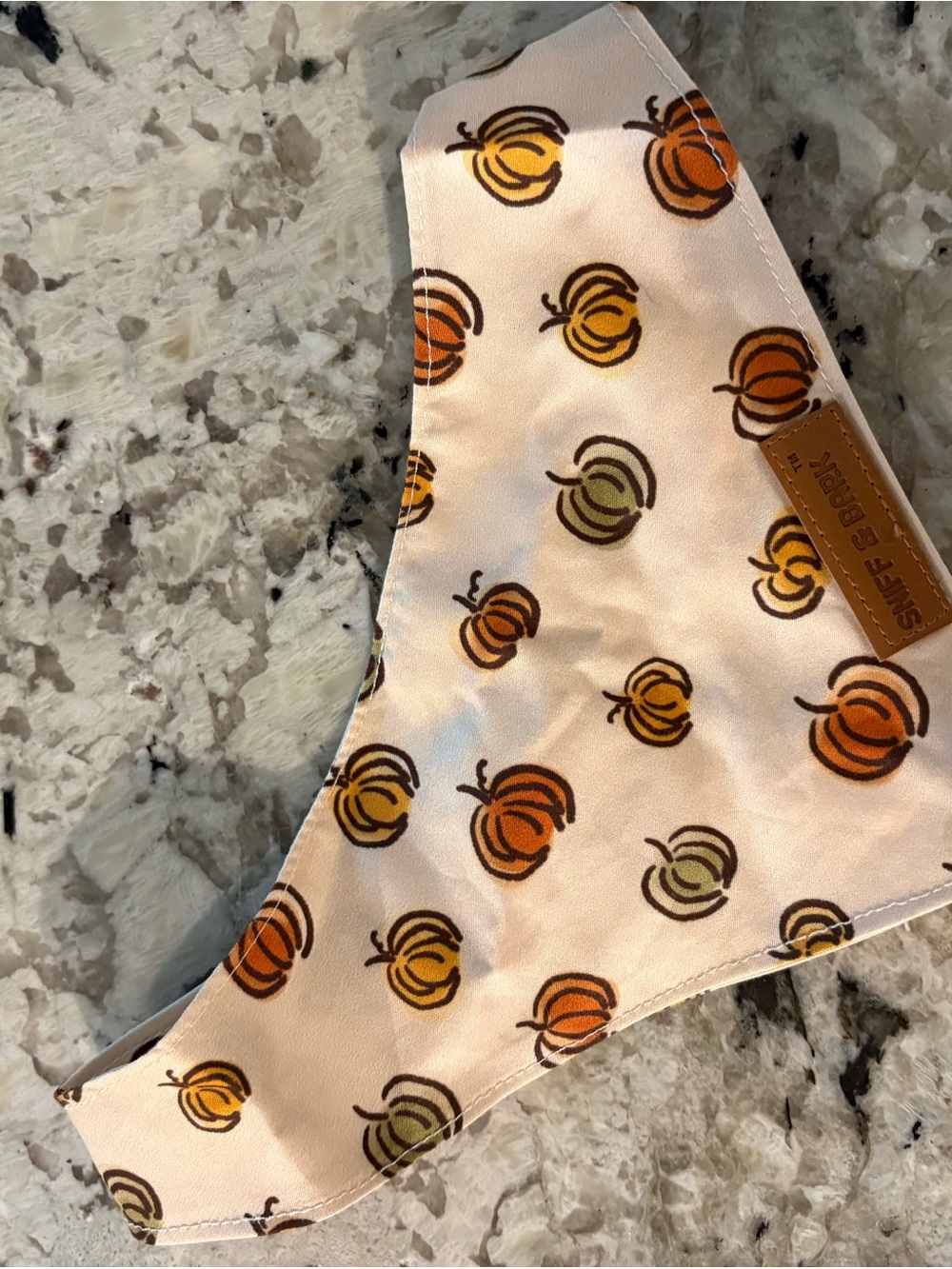 Sniff and Bark Pumpkin Print Bandana  - - Cream/Orange